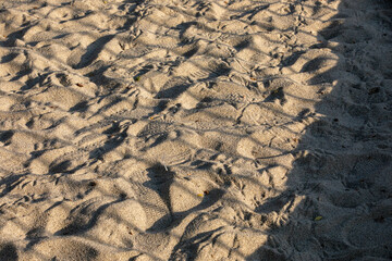 보라매공원 국제 꽃박람회
