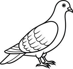 Dove  black silhouette on white background 
