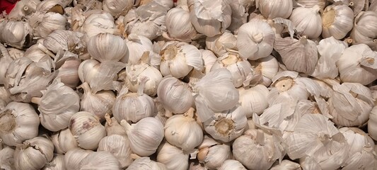Fresh garlic for cooking. Garlic for background.