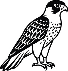 Fototapeta premium Falcon black silhouette on white background 