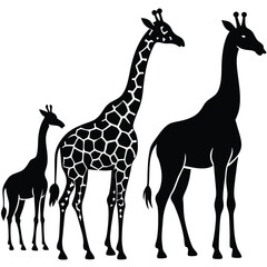 Obraz premium Black and white illustration of three giraffes in silhouette with varying designs