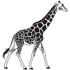 Naklejka premium Black and white illustration of a graceful giraffe walking in a minimalist artistic style