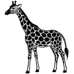 Fototapeta premium Elegant black and white illustration of a graceful giraffe on a clean white background