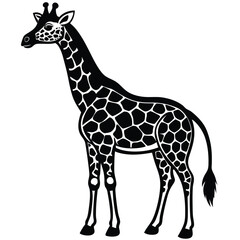 Fototapeta premium Elegant black and white silhouette illustration of a standing giraffe on a white background