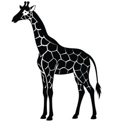 Naklejka premium Elegant black and white silhouette of a tall giraffe standing gracefully on a white background