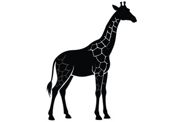 Fototapeta premium Giraffe silhouette vector icon clipart design