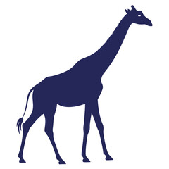 Silhouette of a majestic giraffe in dark blue standing against a clean white background
