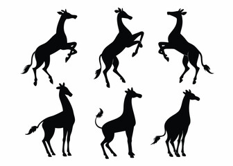 Silhouettes of giraffes in various poses against a white background for design elements