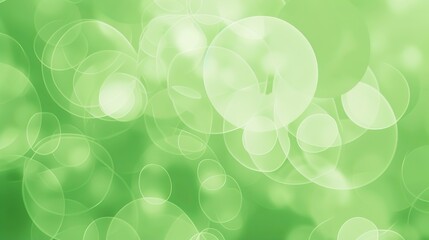 "Exploring Light Green Background Materials: Enhancing Visual Serenity, Natural Aesthetics, and Design Versatility for Eco-Friendly Projects, Digital Media, and Print Collaterals"