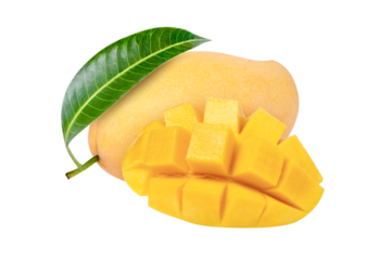 mango isolated on transparent
png background