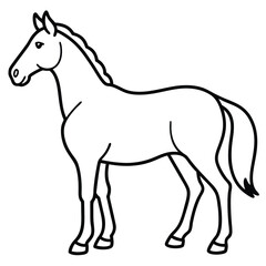 Fototapeta premium Horse Outline Drawing for Coloring Book and Animal Clipart