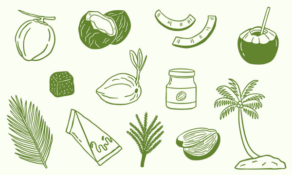 coconut doodle illustration - sketch collection set