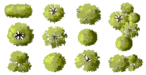 Vector set of Top view green tree for outdoor plan or map and architecture drawing, elements for environment and garden ,botanical elements ,Blooming flowers in spring,tropical plants element © Chanya_B