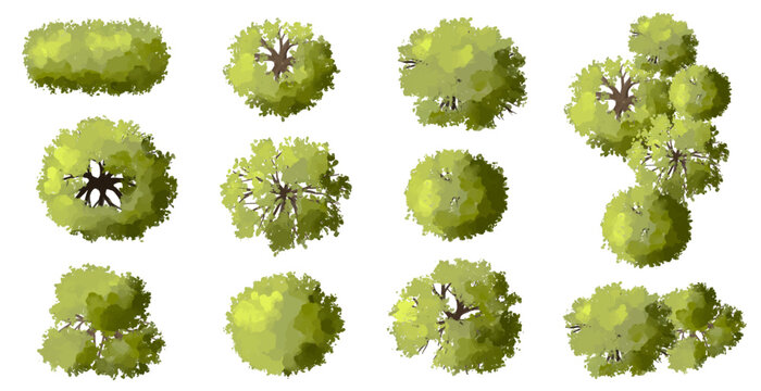 Vector set of Top view green tree for outdoor plan or map and architecture drawing, elements for environment and garden ,botanical elements ,Blooming flowers in spring,tropical plants element