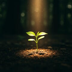 A young sprout glowing under a warm beam of light in a dark forest, symbolizing hope and resilience in nature.