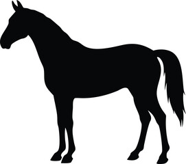 Obraz premium Horse Silhouette Vector Isolated for Creative Design Projects