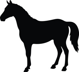 Obraz premium Horse Silhouette Isolated Vector Graphic for Equine Design