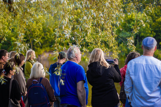 A diverse group of people stands near a calm forest lake, watching an event or view, with one person filming the scene using a smartphone under leafy tree branches.