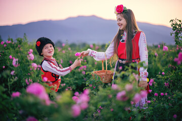Bulgarian rose valley near Kazanlak, Bulgaria and girl and boy sibling in ethnic folklore clothes harvesting blooming oil-bearing roses at sunrise