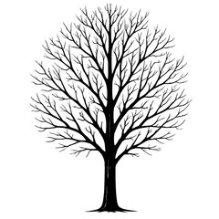 Obraz premium Striking Monochrome Silhouette of a Bare Tree Illustration - Perfect for Nature, Seasonal, and Landscape Designs