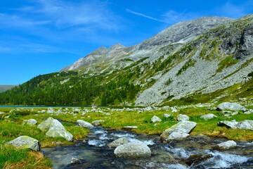 Creek flowing across an alpine meadow bellow the mountains in High Tauern in Central Eastern Alps in Austria