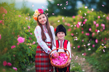 Bulgarian rose valley near Kazanlak, Bulgaria and girl and boy sibling in ethnic folklore clothes harvesting blooming oil-bearing roses at sunrise
