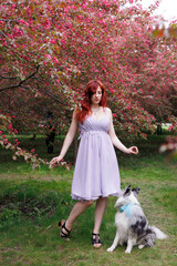 red-haired girl with curly hair walks with a marble-colored border collie dog. The girl in the...