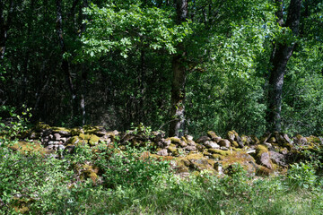 mur en pierre sèche, Les Pinsel, Source, 12, Aveyron, Parc naturel régional des Grands Causses,...