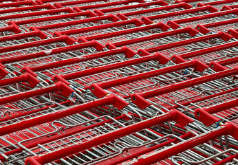 A row of shopping carts is neatly lined up in a straight row