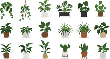 Collection of modern indoor houseplants in decorative pots, including hanging vines, tropical foliage, cactus, and succulent plants arranged neatly in stylish planters for home decor