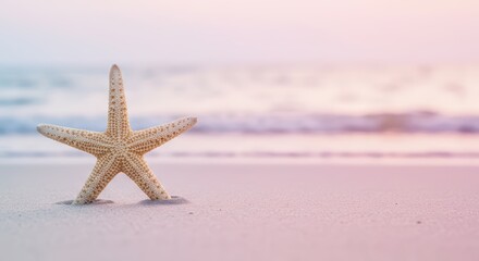 Pink starfish seashellon a ocean beach background with ocean vawes. Summer travel vacation background concept with sand and tranquil sea water at sunset for banner, card or poster.