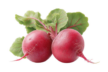 Fresh red radishes with lush green leaves