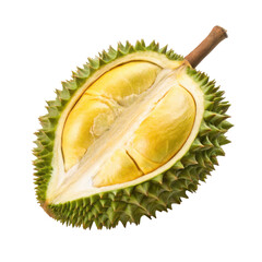 Fototapeta premium durian isolate white background