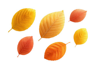 Obraz premium Vibrant autumn leaves in various shades of orange and yellow