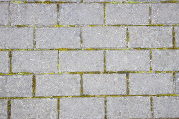 Close-Up of Weathered Stone Pavement With Moss Between the Cracks
