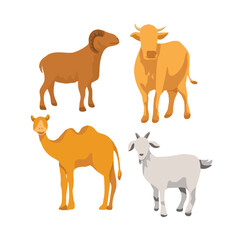 farm animals collection qurban for eid Al adha 