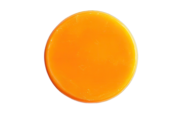 Close-up of an orange disc