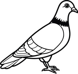 Obraz premium vector illustration of dove