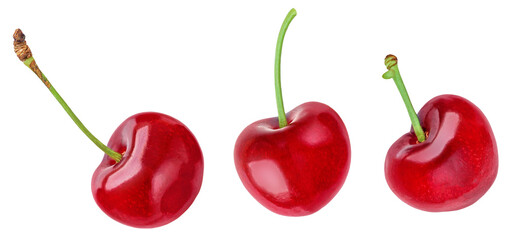 Red Cherries isolated on white background. Sweet cherry collection