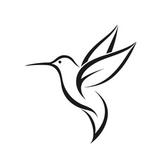 Minimalist Elegant Line Art Hummingbird Logo Vector.