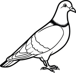 Obraz premium vector illustration of dove