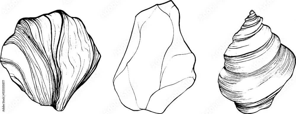 Poster elegant line art set featuring marble swirl and shell illustrations for design projects