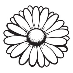 Black and white hand drawn daisy flower illustration on a white background template design