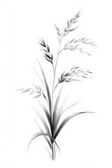 Black and White Artistic Illustration of a Delicate Grass Plant