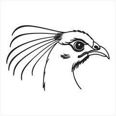 Reeves’s Pheasant – Vibrant Chinese Forest Pheasant with Elaborate Plumage