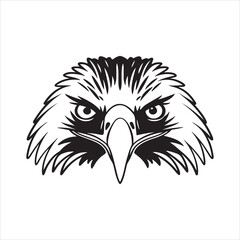 Philippine Eagle – Endangered Icon of Southeast Asian Skies