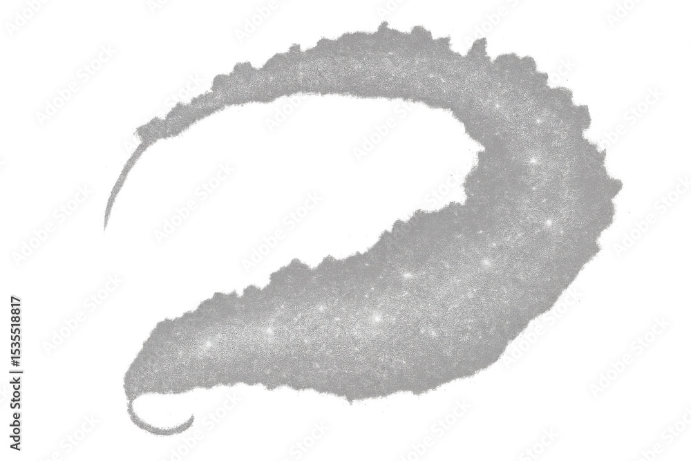 Poster sparkling silver glitter creating oval stroke pattern, shimmering with metallic texture against tran