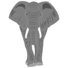A stylized, frontal grey elephant illustration with distinct lines and white tusks. Its graphic, simplified form makes it ideal for a logo, icon, or versatile design element.