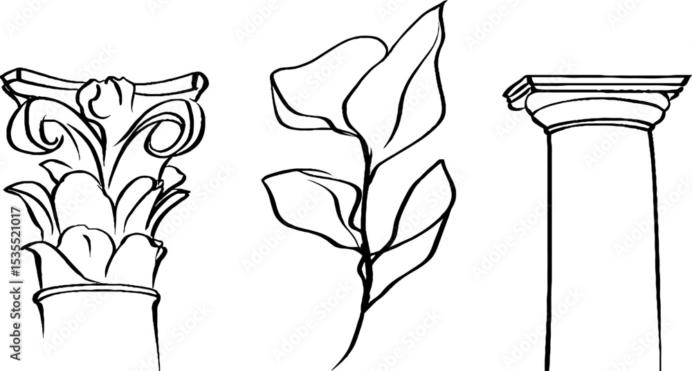 Poster elegant line art of acanthus panel and classical architectural elements for design projects