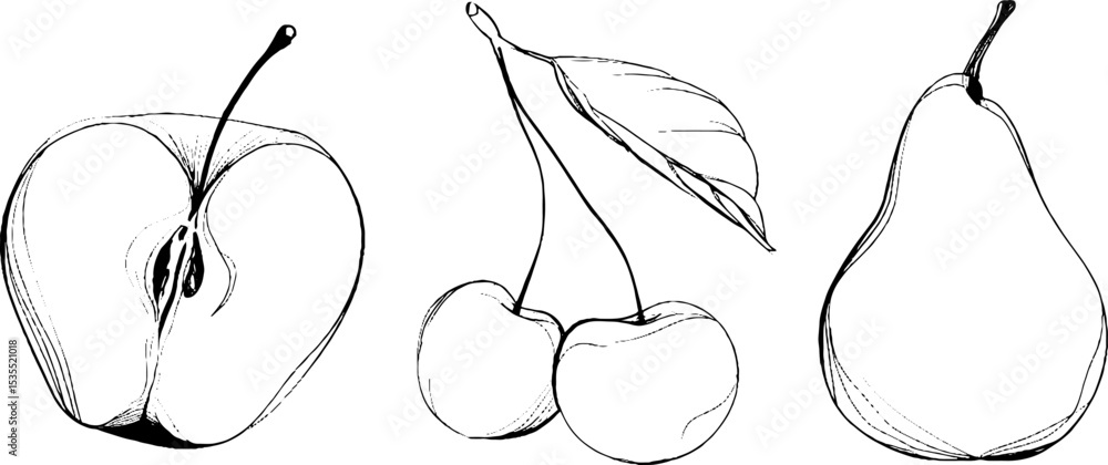 Poster minimalist line art of fruit slice with cherry and pear for creative design